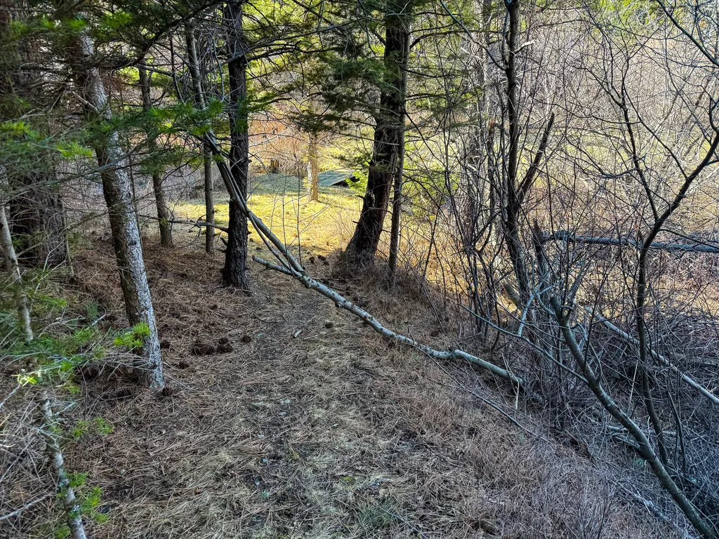 4220 Denton Gulch Road Wolf Creek MT 59648