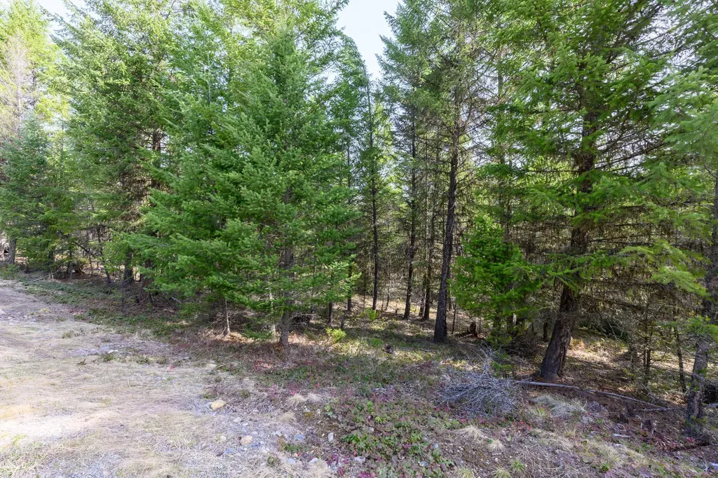 746 Evergreen Drive Eureka MT 59917