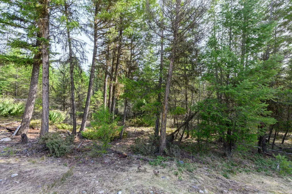 746 Evergreen Drive Eureka MT 59917