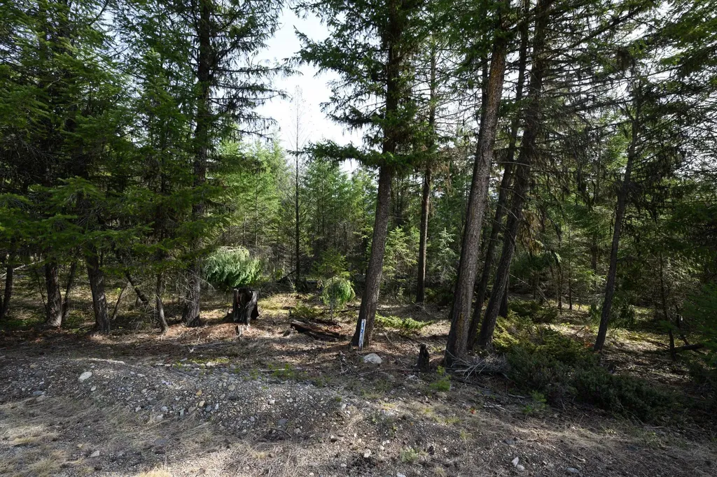 746 Evergreen Drive Eureka MT 59917