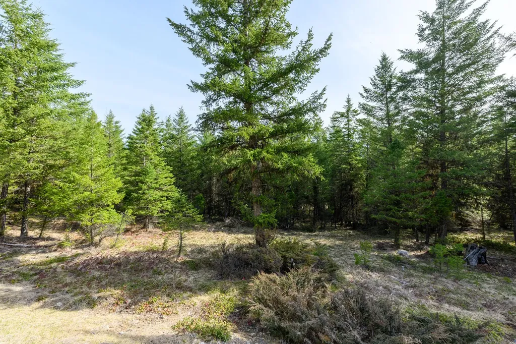 746 Evergreen Drive Eureka MT 59917