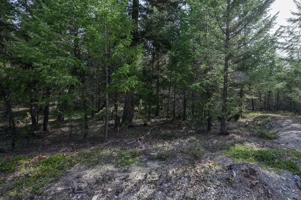 746 Evergreen Drive Eureka MT 59917