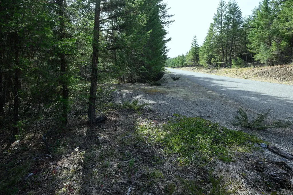 746 Evergreen Drive Eureka MT 59917
