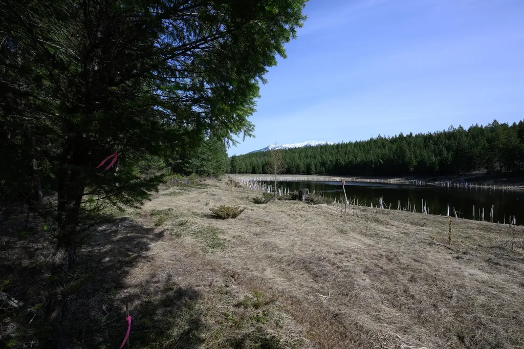 746 Evergreen Drive Eureka MT 59917