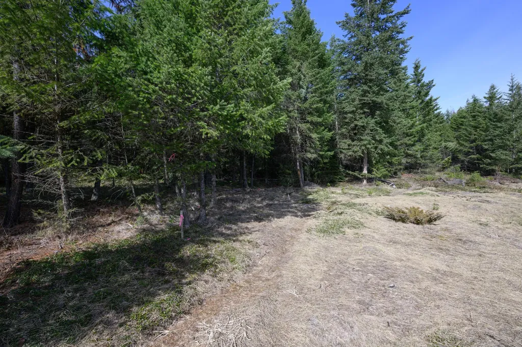 746 Evergreen Drive Eureka MT 59917