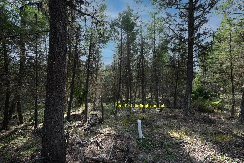 746 Evergreen Drive Eureka MT 59917