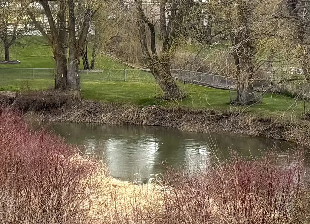 195 E Nicklaus Avenue Kalispell MT 59901