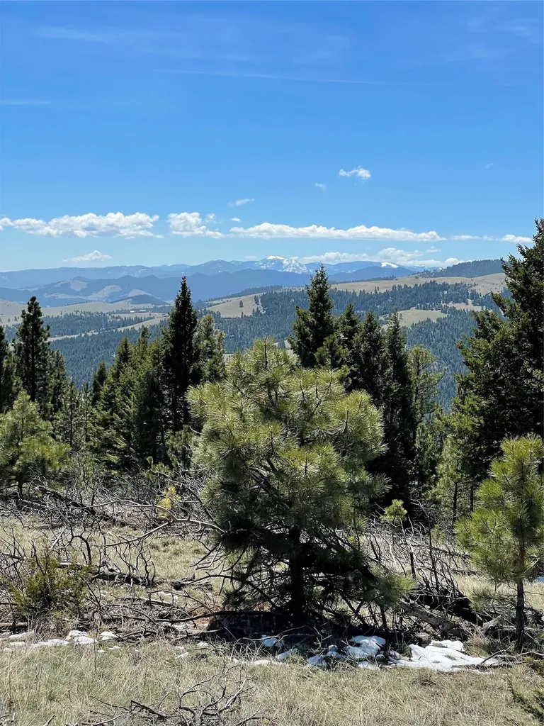 Tract 30 Turk Road Helena MT 59602