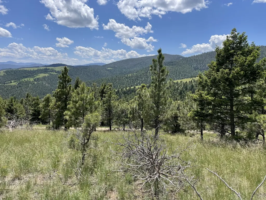 Tract 30 Turk Road Helena MT 59602