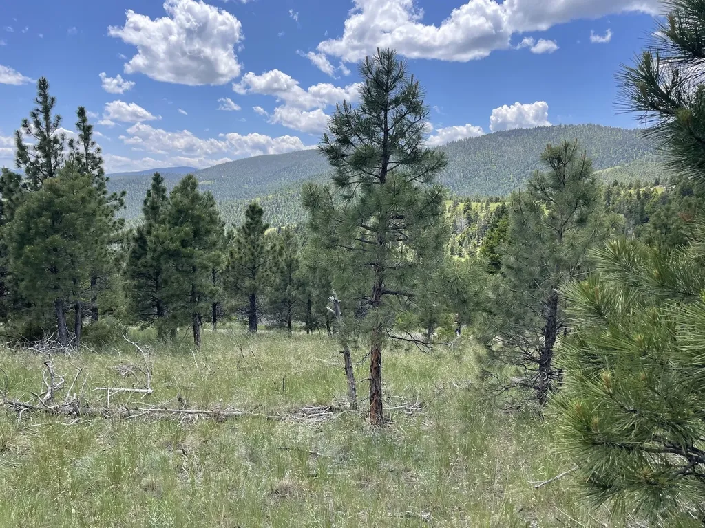 Tract 30 Turk Road Helena MT 59602