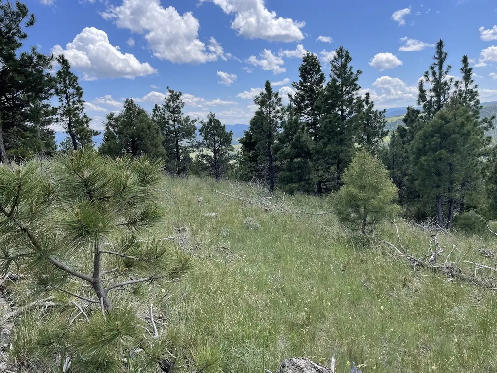 Tract 30 Turk Road Helena MT 59602