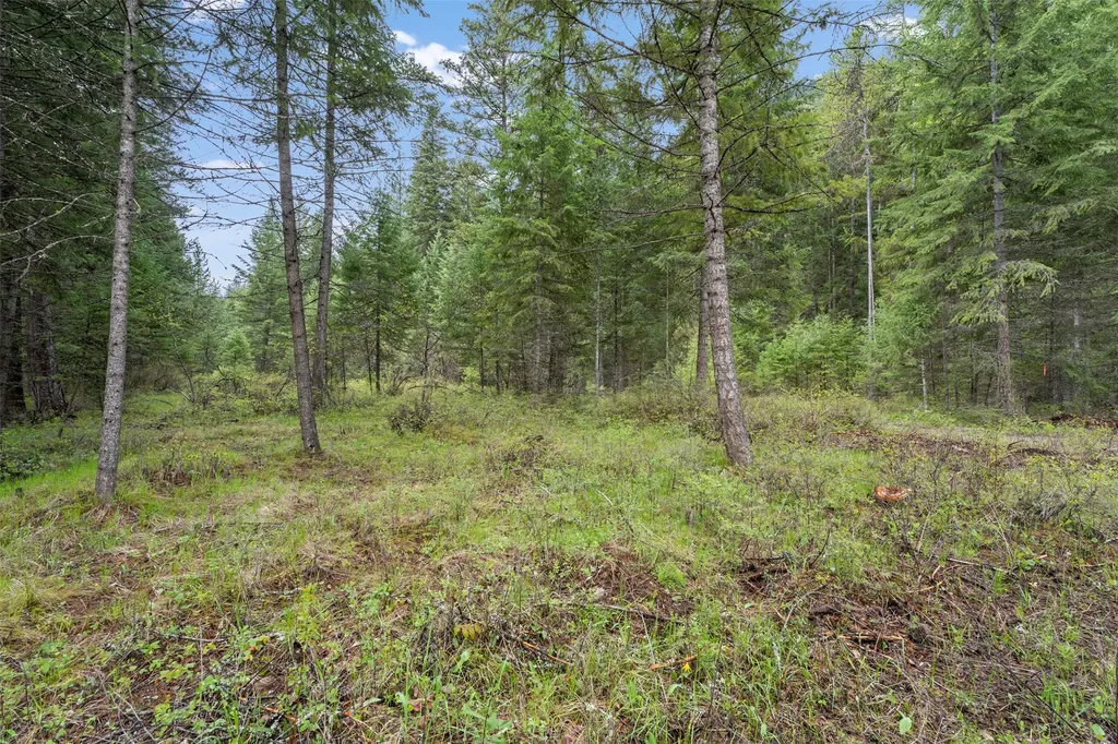 132 Spirit Walk Lane Superior MT 59872
