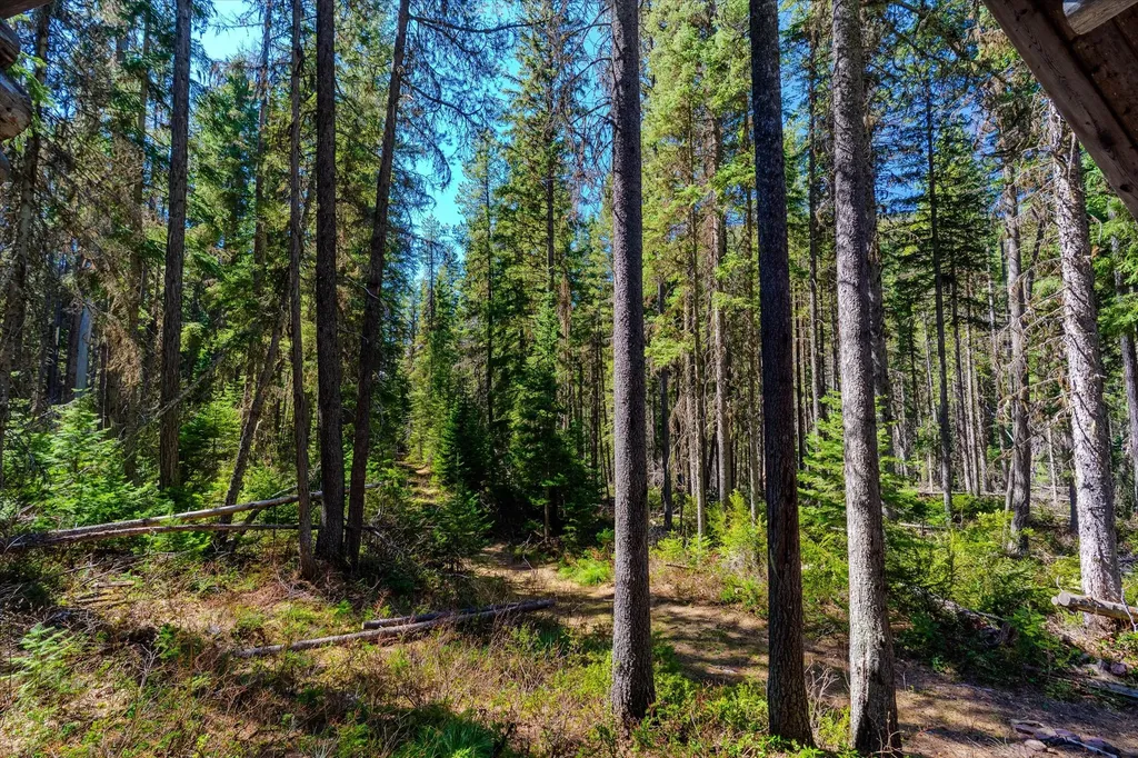 14265 Us Highway 2 E Essex MT 59916