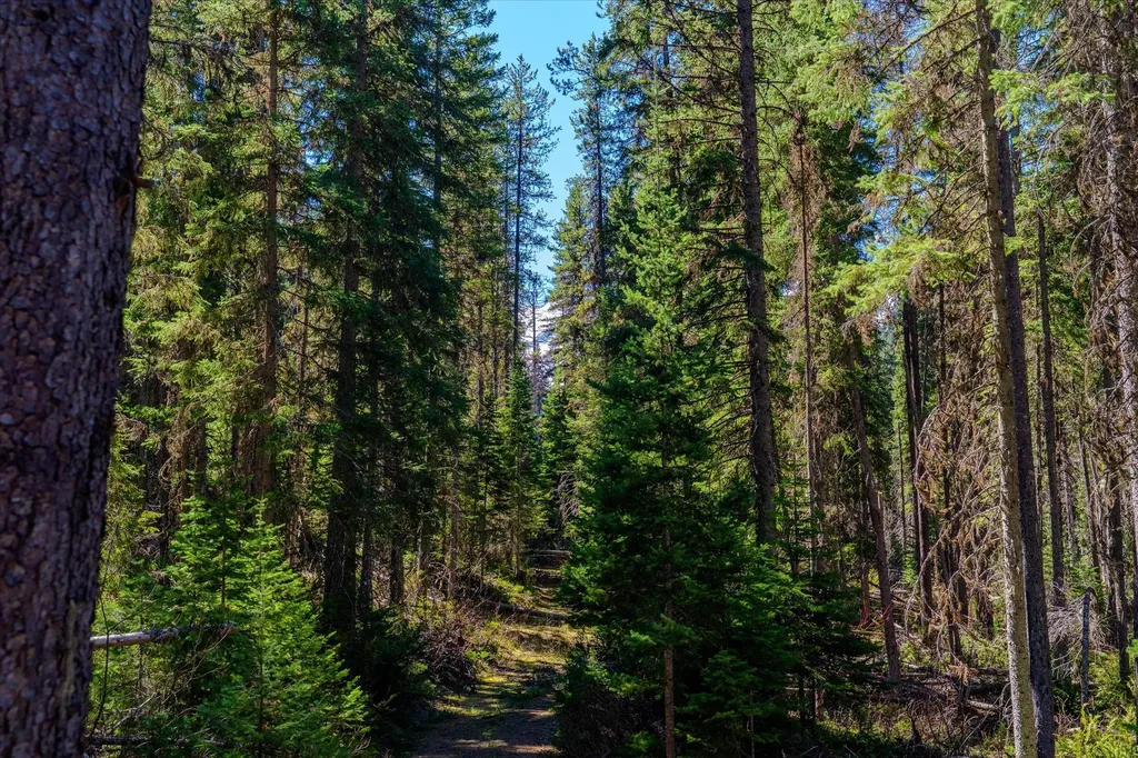 14265 Us Highway 2 E Essex MT 59916
