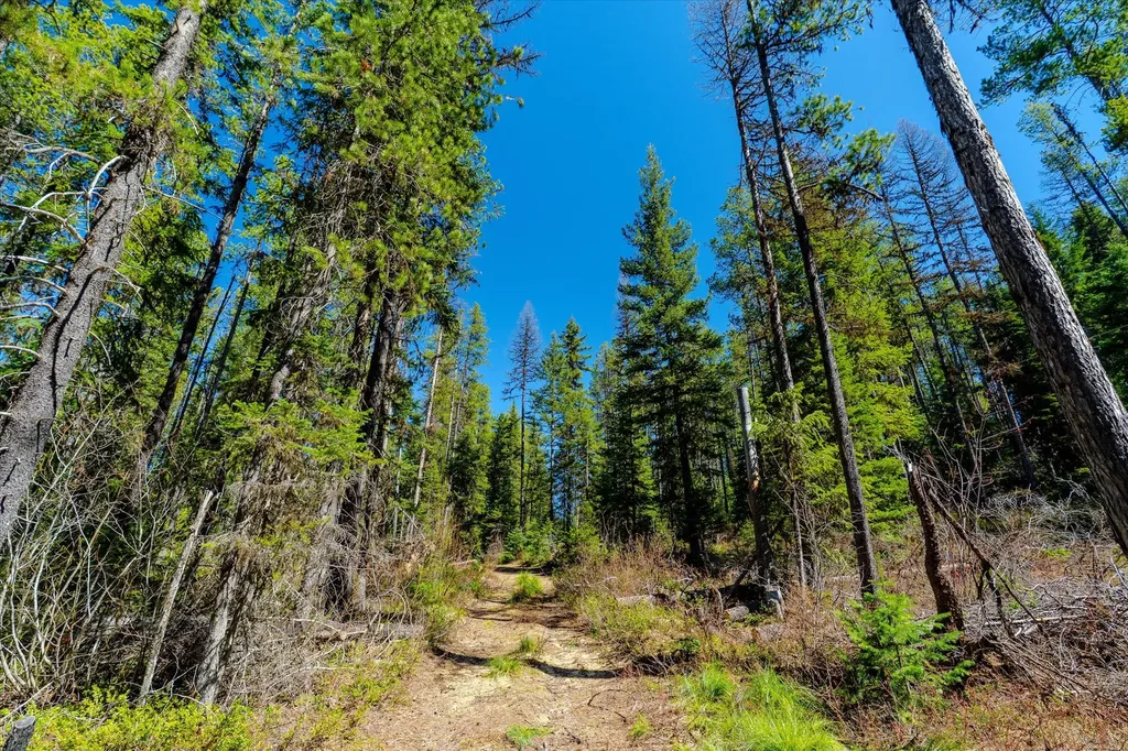 14265 Us Highway 2 E Essex MT 59916