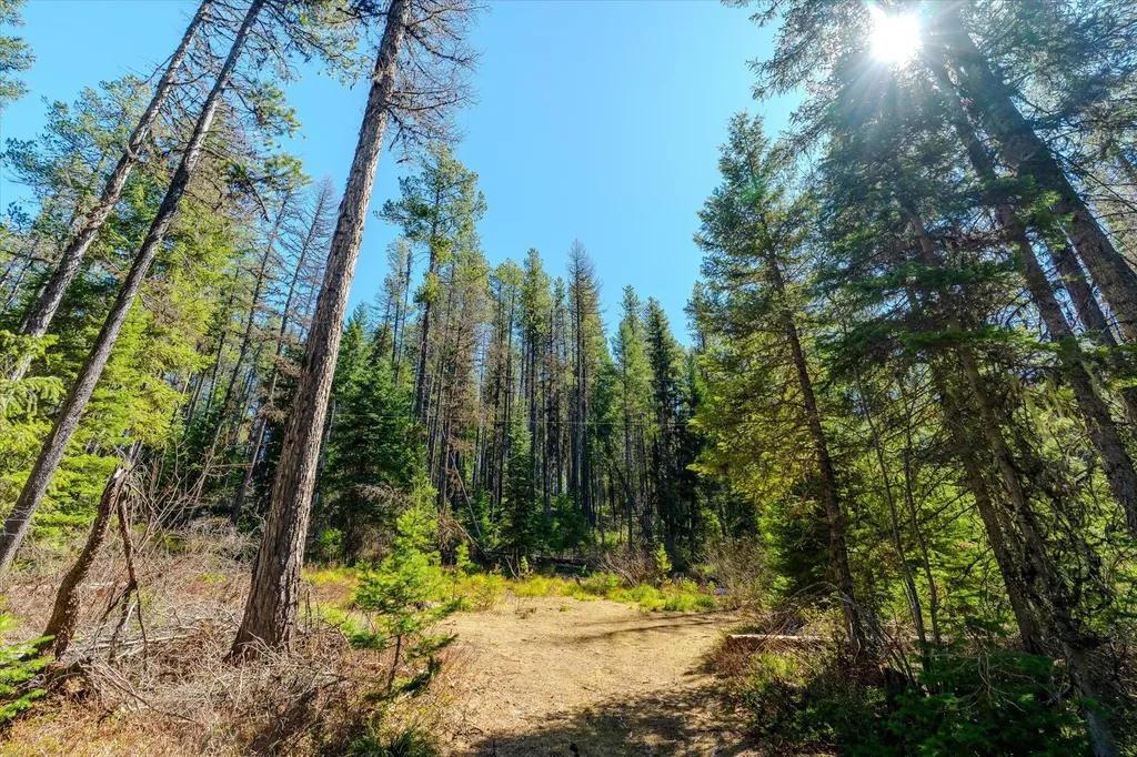 14265 Us Highway 2 E Essex MT 59916