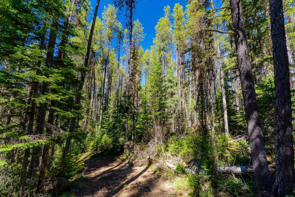 14265 Us Highway 2 E Essex MT 59916