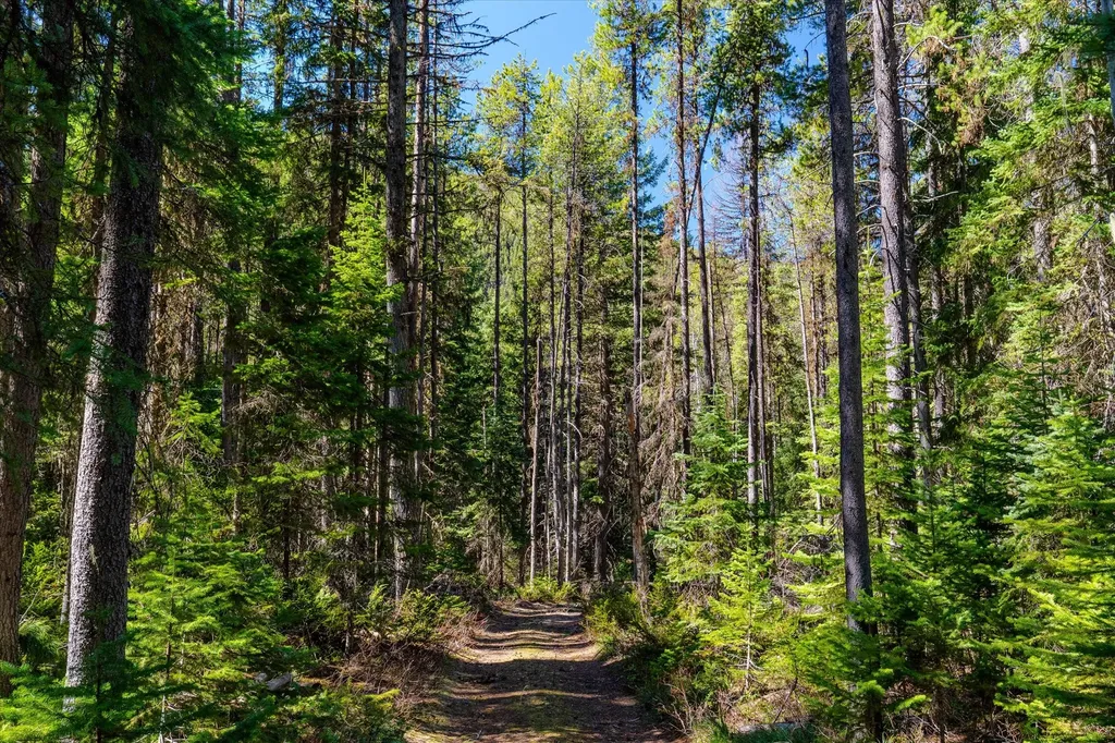 14265 Us Highway 2 E Essex MT 59916