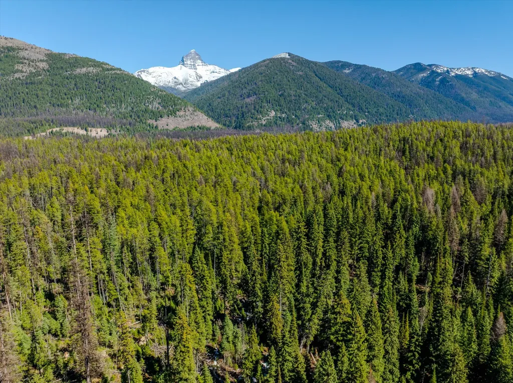 14265 Us Highway 2 E Essex MT 59916