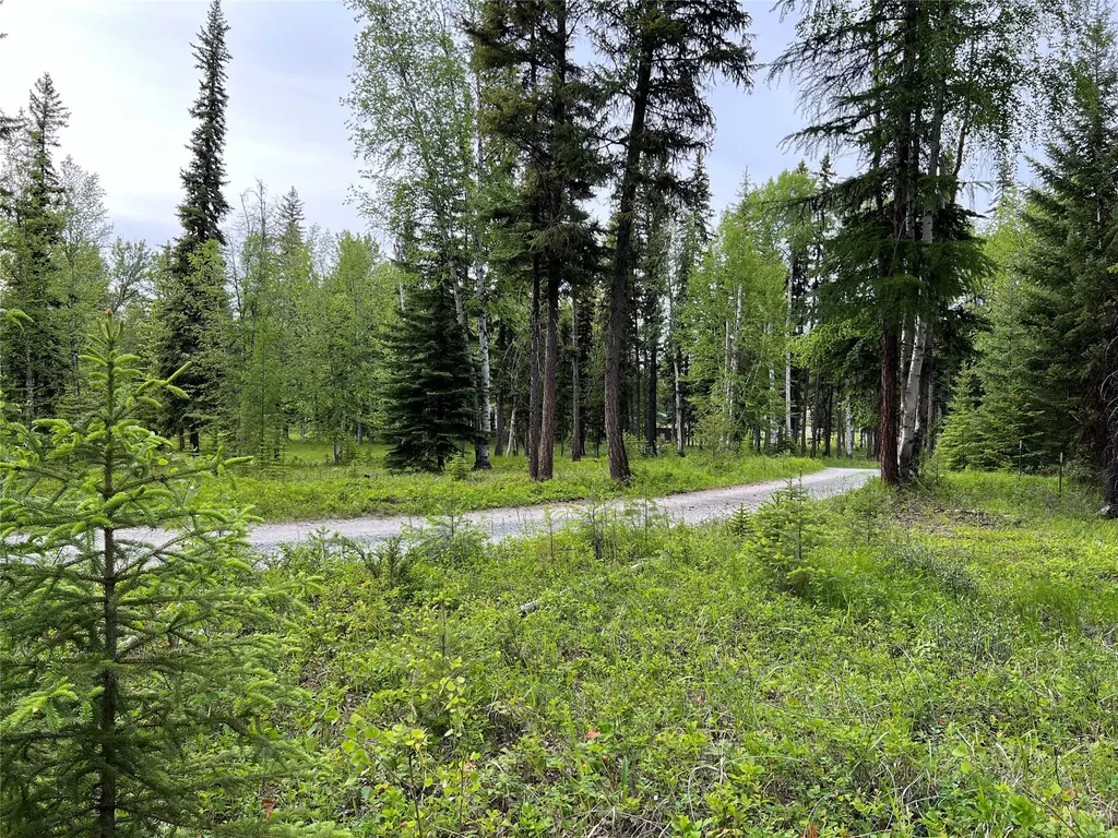 347 & 673 & Nhn Soaring Eagle Trail Fortine MT 59918