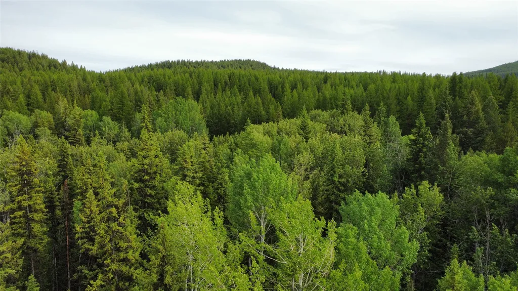 347 & 673 & Nhn Soaring Eagle Trail Fortine MT 59918