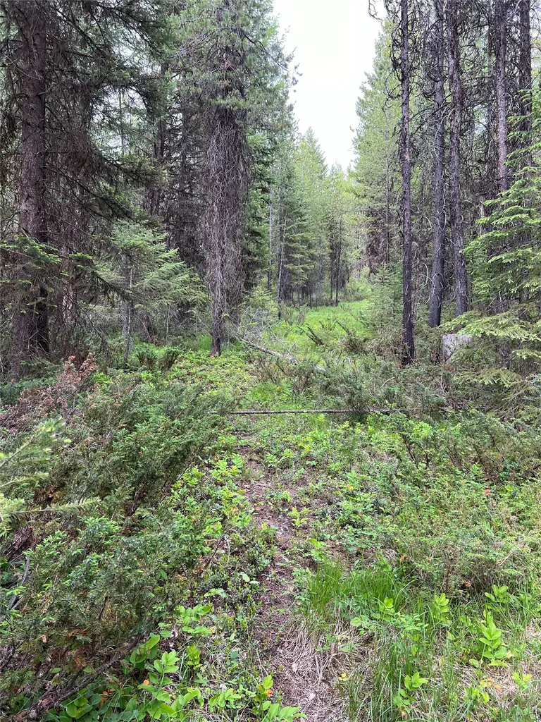 347 & Nhn Soaring Eagle Trail Fortine MT 59918