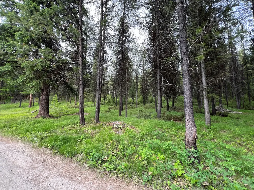 347 & 673 & Nhn Soaring Eagle Trail Fortine MT 59918
