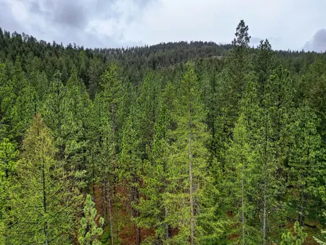 3219 Bear Creek Road Bonner MT 59823