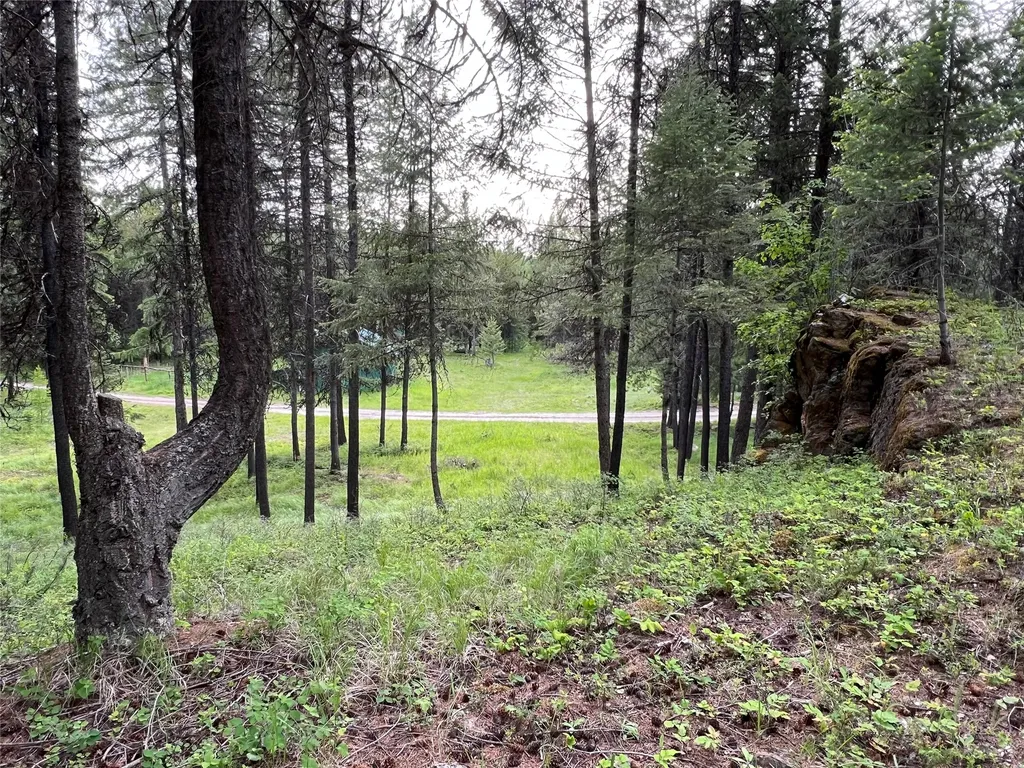 347 & Nhn Soaring Eagle Trail Fortine MT 59918