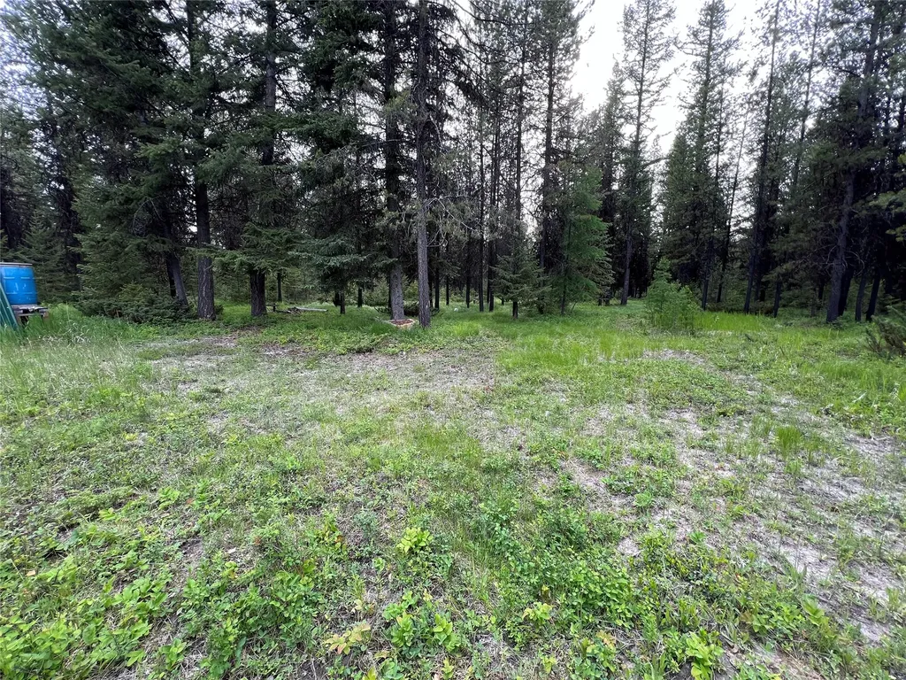 347 & 673 & Nhn Soaring Eagle Trail Fortine MT 59918