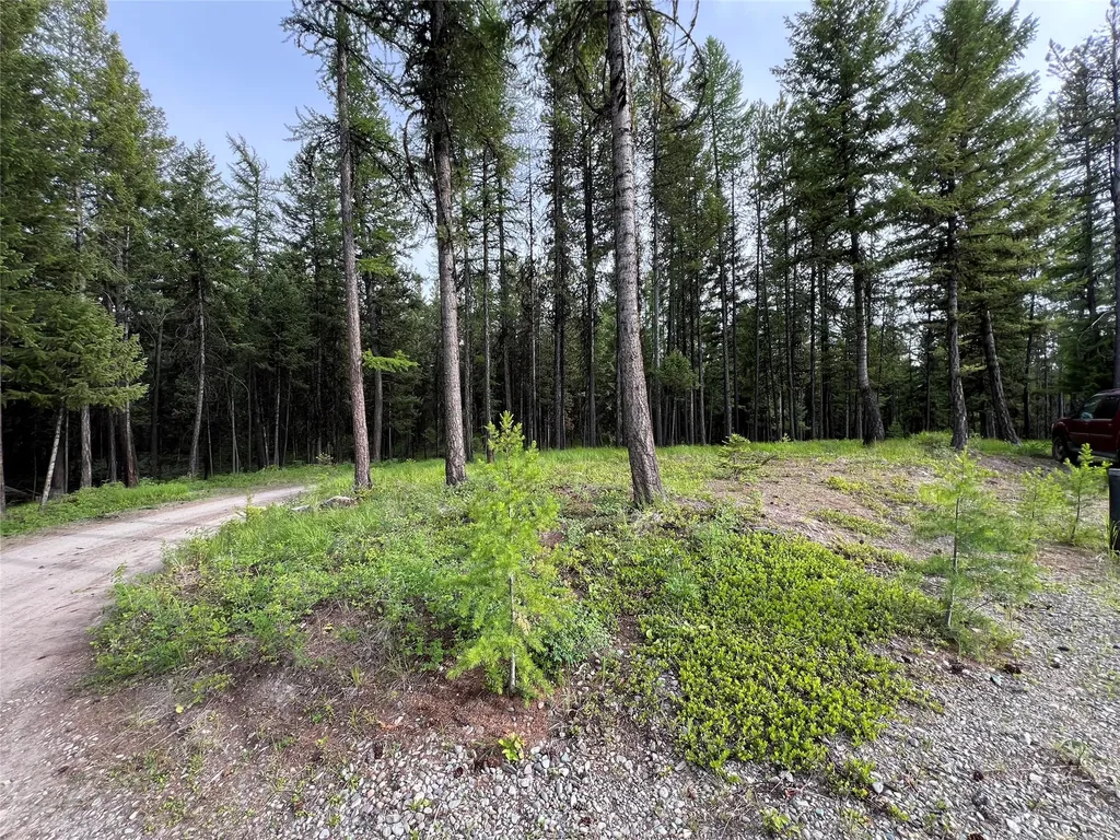 347 & 673 & Nhn Soaring Eagle Trail Fortine MT 59918