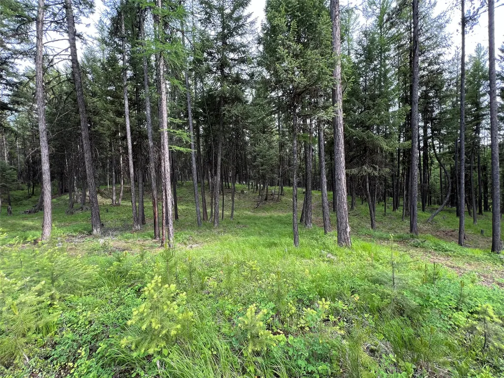 347 & Nhn Soaring Eagle Trail Fortine MT 59918