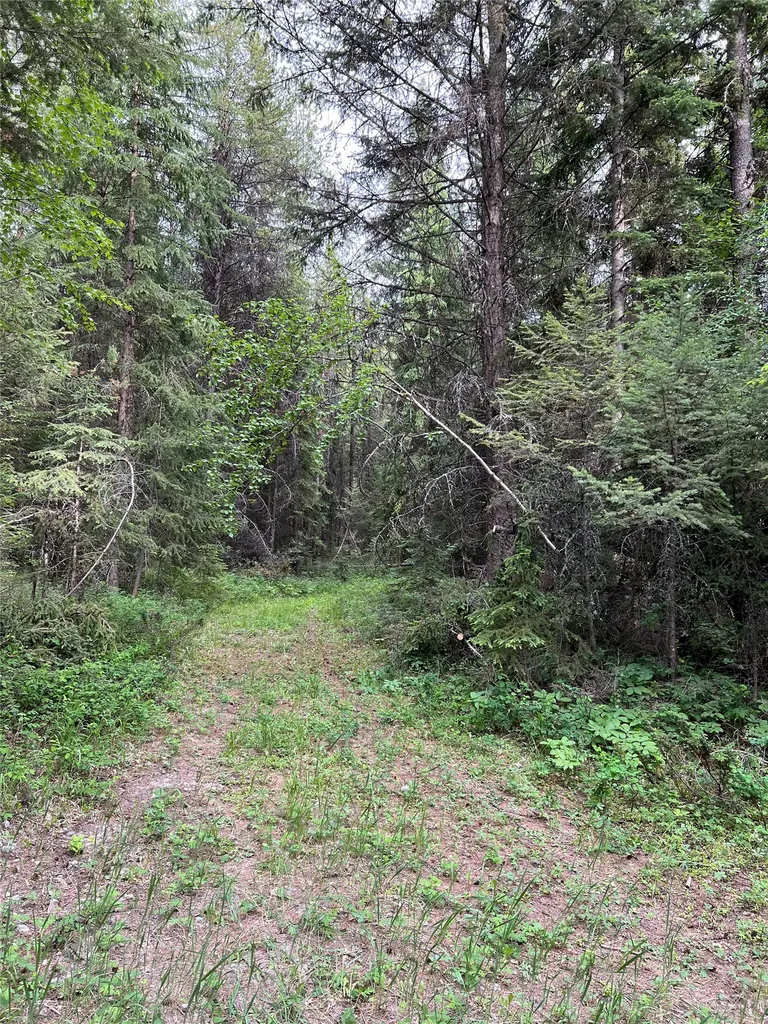 347 & 673 & Nhn Soaring Eagle Trail Fortine MT 59918