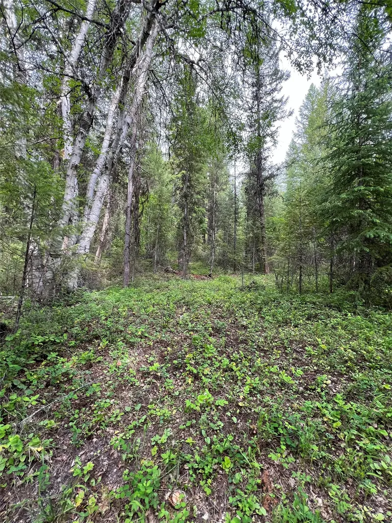 347 & 673 & Nhn Soaring Eagle Trail Fortine MT 59918