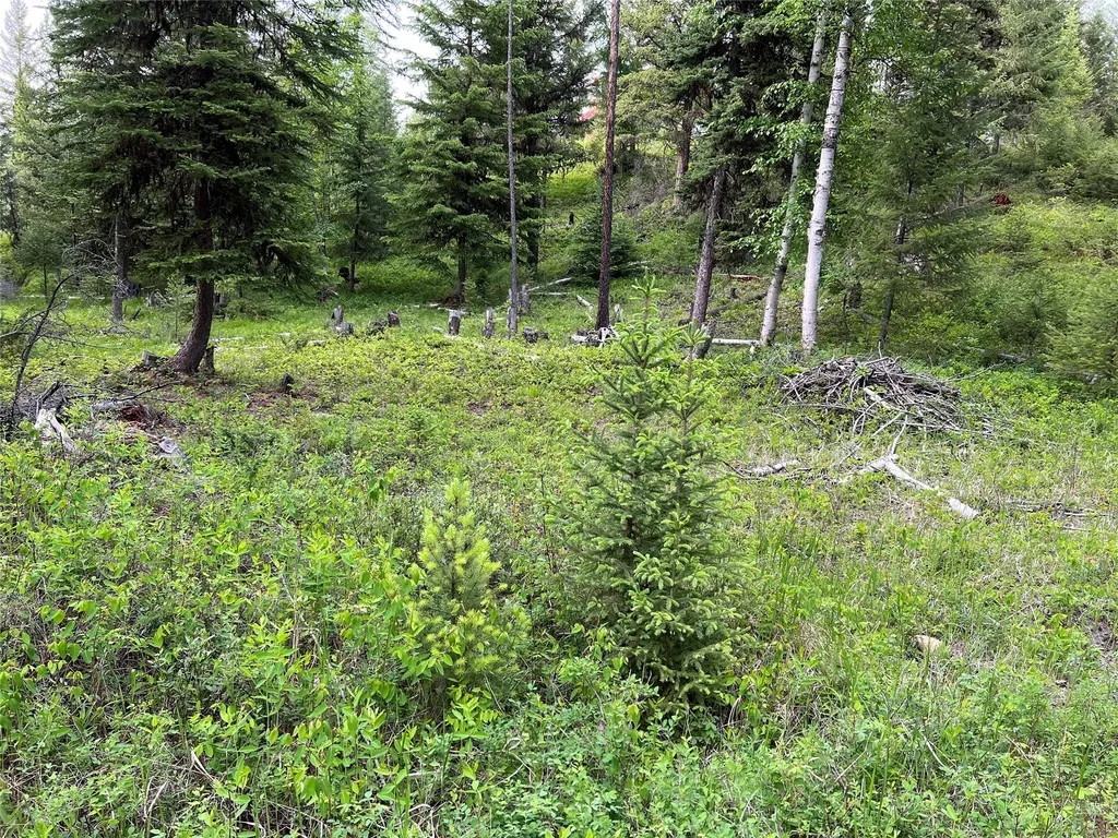 347 & Nhn Soaring Eagle Trail Fortine MT 59918