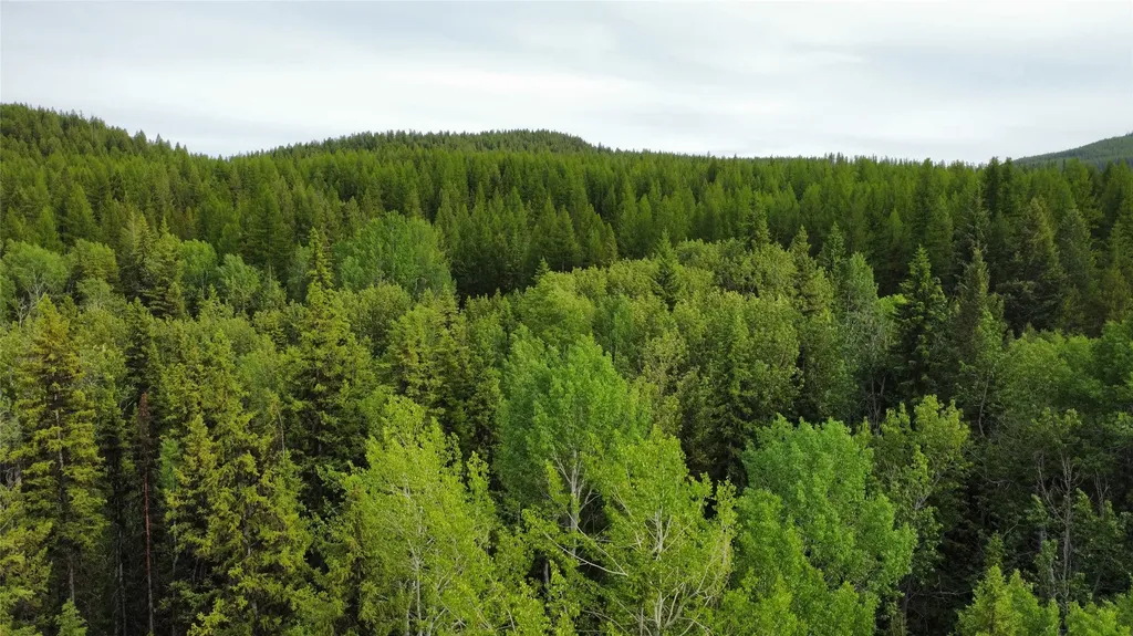 347 & Nhn Soaring Eagle Trail Fortine MT 59918