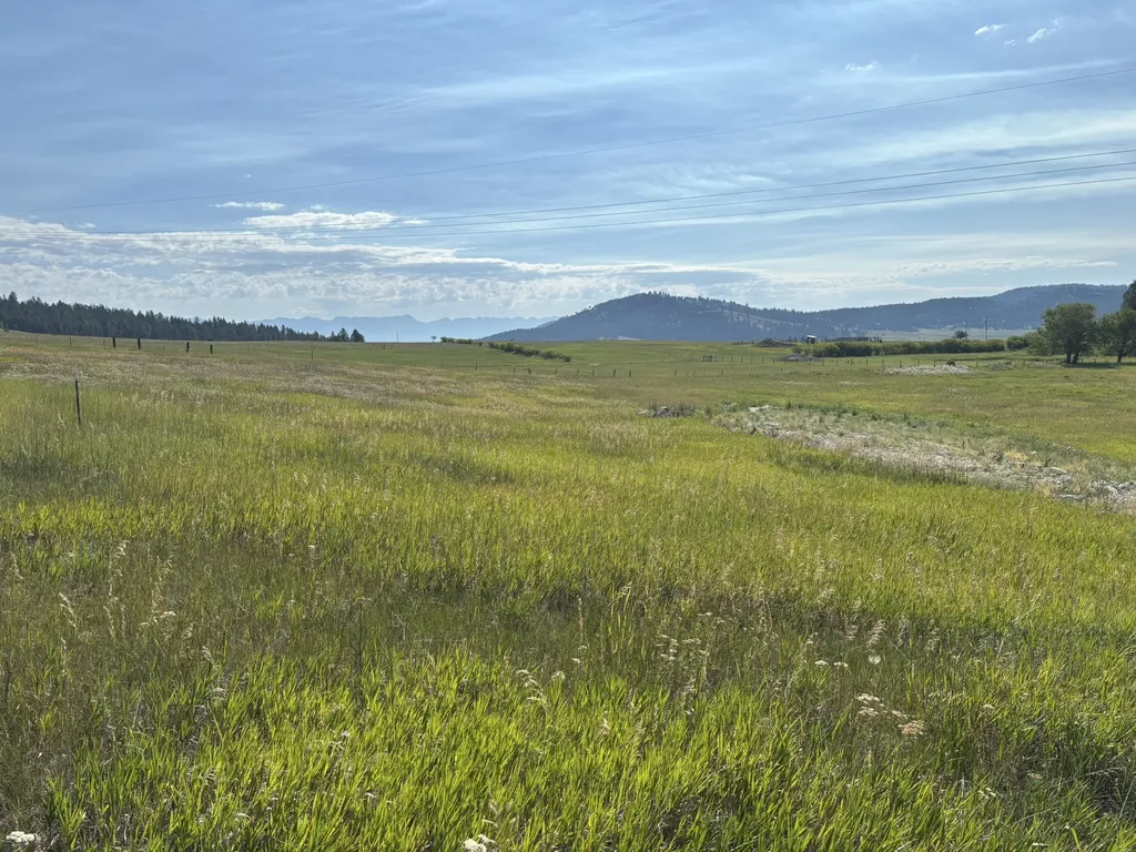 699 Morning View Drive Kalispell MT 59901