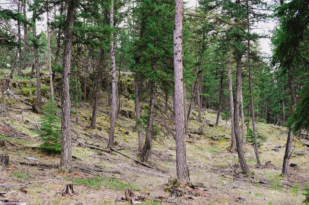 2001 Browns Meadow Road Kila MT 59920