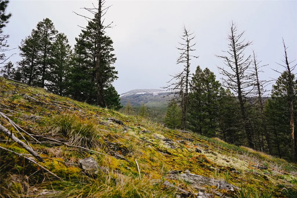 2001 Browns Meadow Road Kila MT 59920