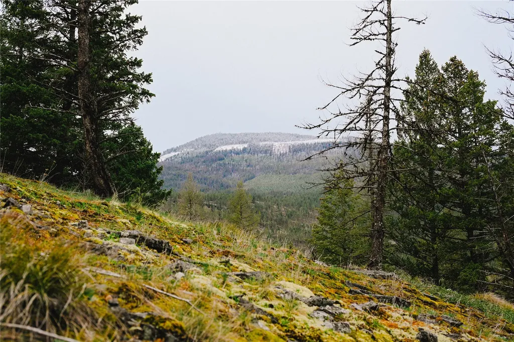 2001 Browns Meadow Road Kila MT 59920