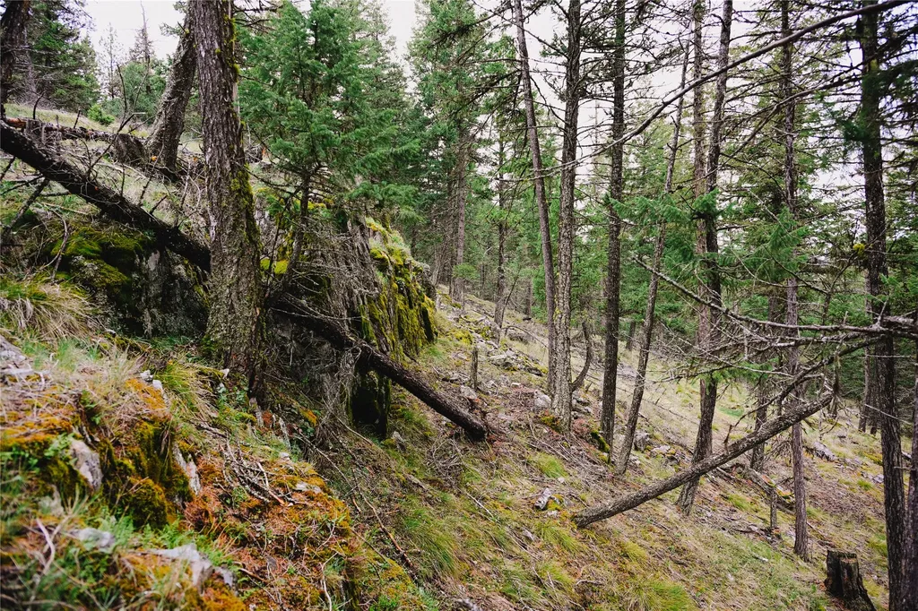 2001 Browns Meadow Road Kila MT 59920