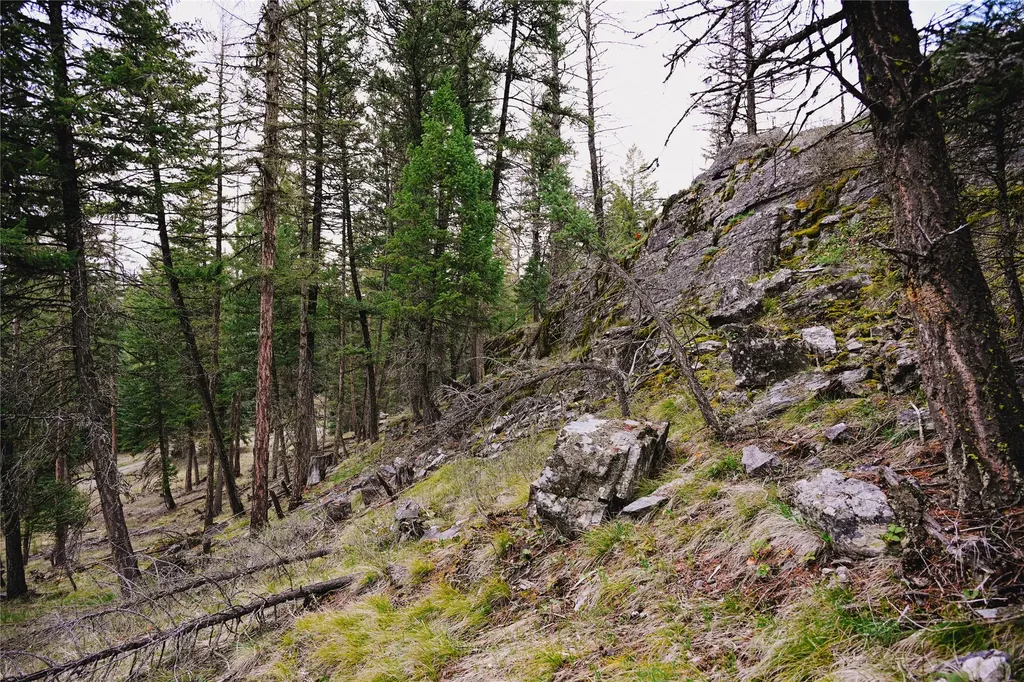 2001 Browns Meadow Road Kila MT 59920