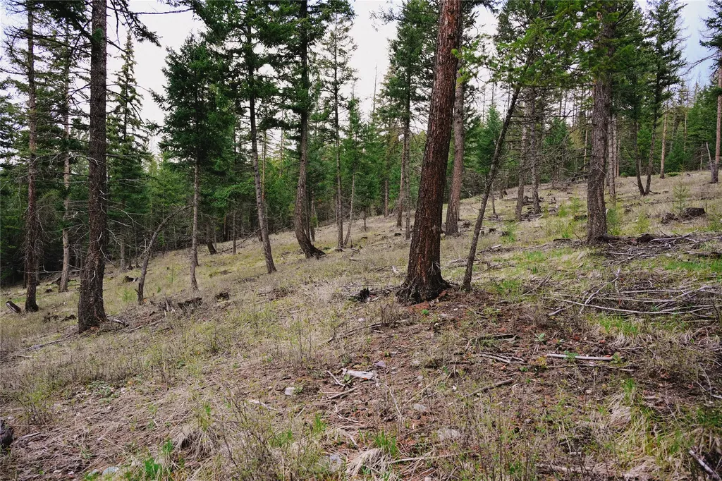 2001 Browns Meadow Road Kila MT 59920