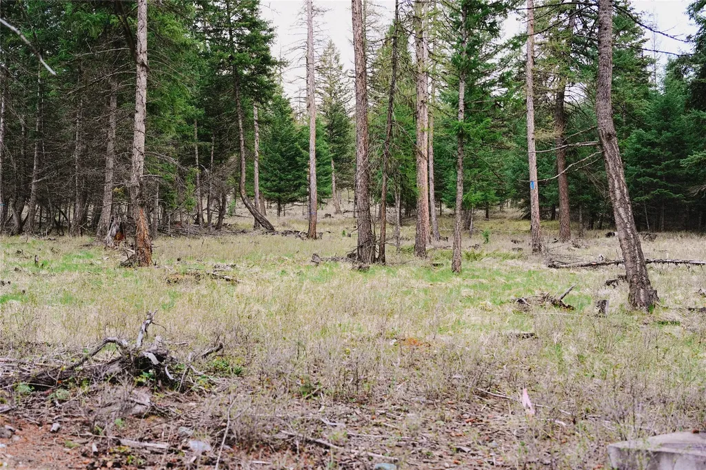2001 Browns Meadow Road Kila MT 59920