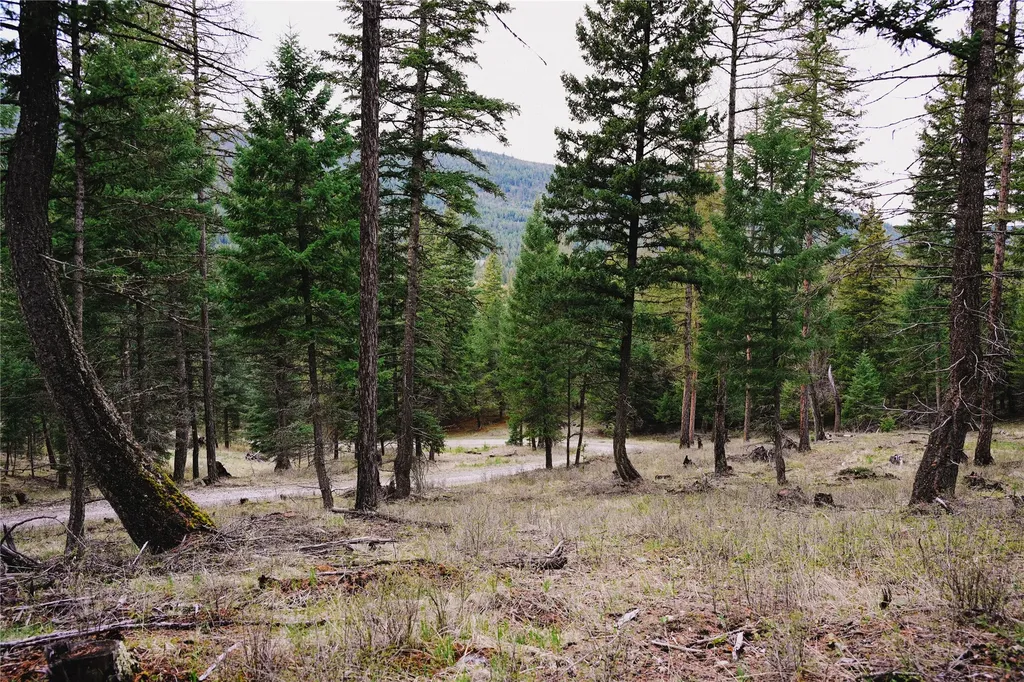 2001 Browns Meadow Road Kila MT 59920