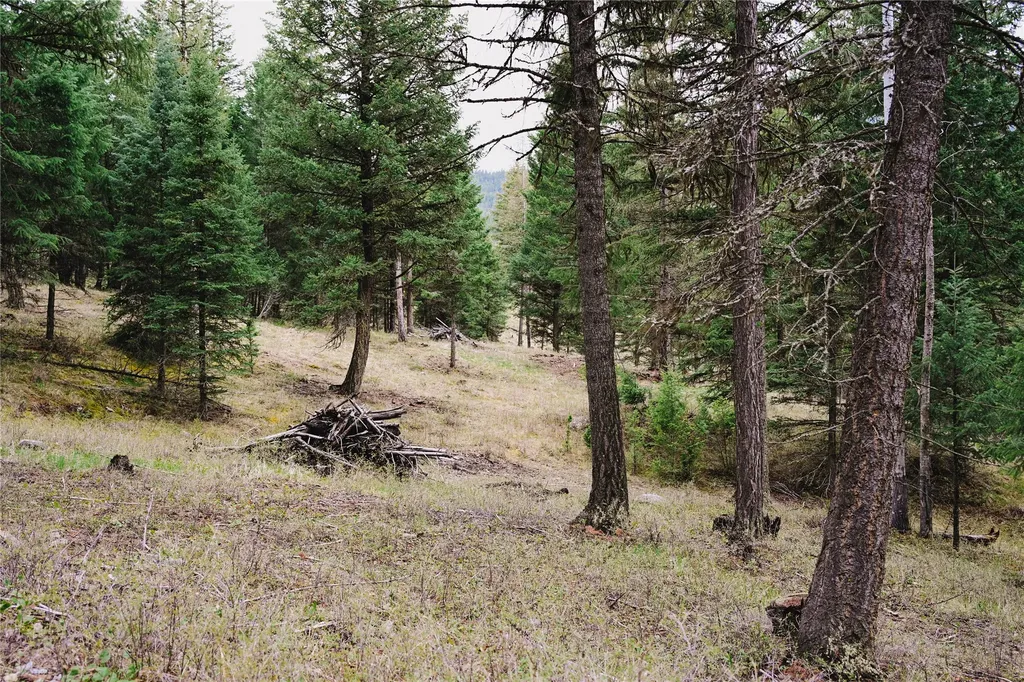 2001 Browns Meadow Road Kila MT 59920