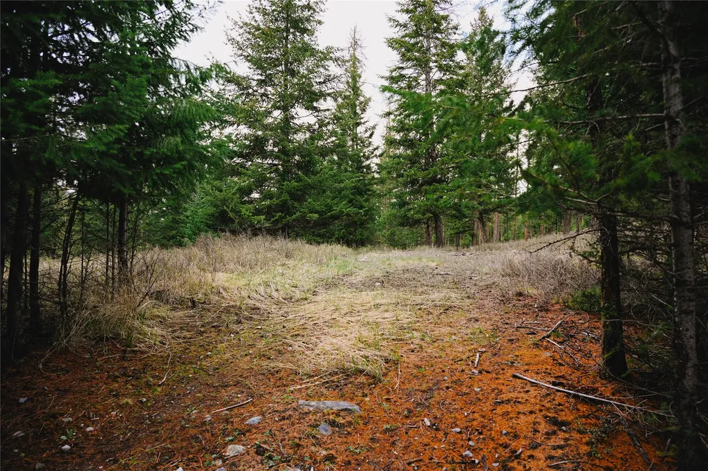 2001 Browns Meadow Road Kila MT 59920
