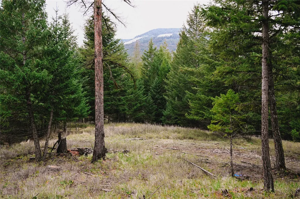 2001 Browns Meadow Road Kila MT 59920