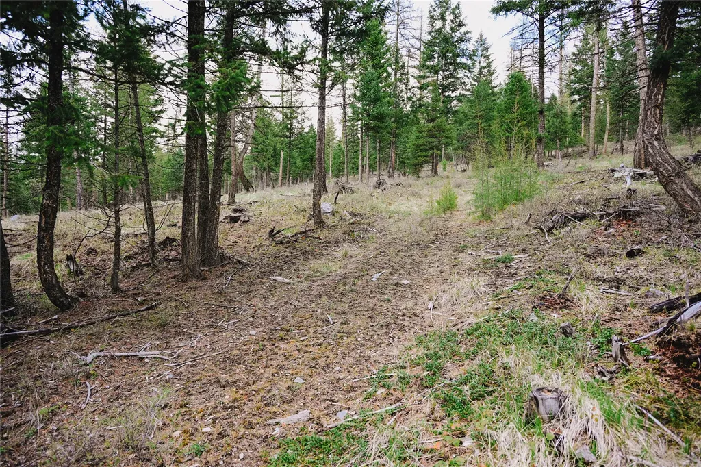 2001 Browns Meadow Road Kila MT 59920