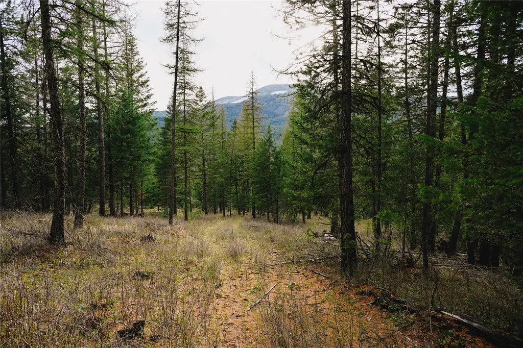 2001 Browns Meadow Road Kila MT 59920